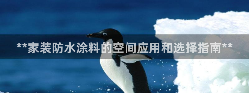 和记 中国官网：**家装防水涂料的空间应用和选择指南**