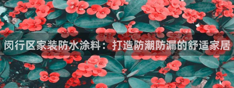 和记注册有什么送的：闵行区家装防水涂料：打造防潮防漏的舒适家居