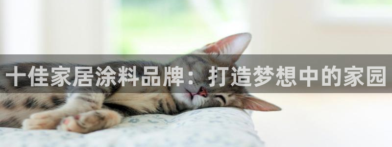 和记官网：十佳家居涂料品牌：打造梦想中的家园