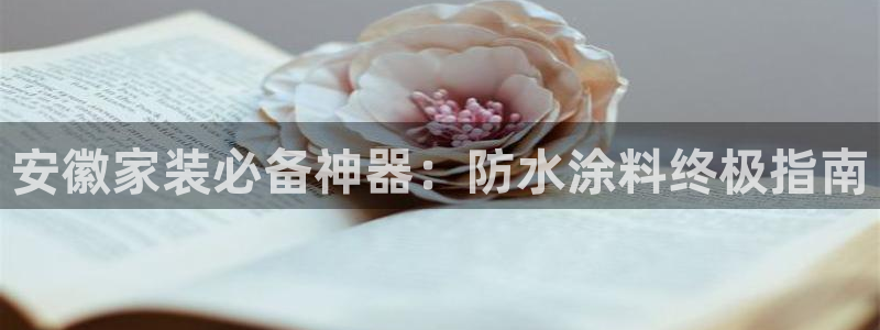 和记官方直营：安徽家装必备神器：防水涂料终极指南