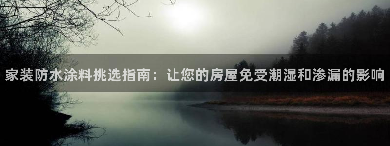 和记广告女主角：家装防水涂料挑选指南：让您的房屋免受潮湿和渗漏的影响