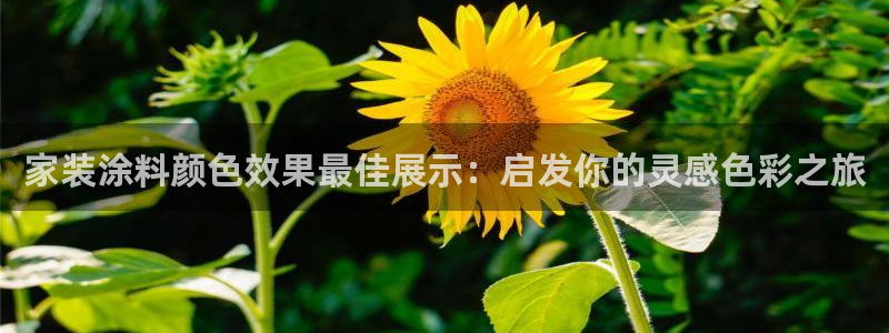 和记h88游戏：家装涂料颜色效果最佳展示：启发你的灵感色彩之旅
