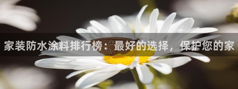 和记平台怎么样：家装防水涂料排行榜：最好的选择，保护您的家