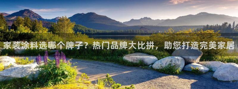 和记 首页：家装涂料选哪个牌子？热门品牌大比拼，助您打造完美家居