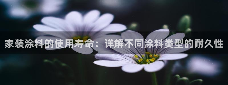 和记网页版：家装涂料的使用寿命：详解不同涂料类型的耐久性