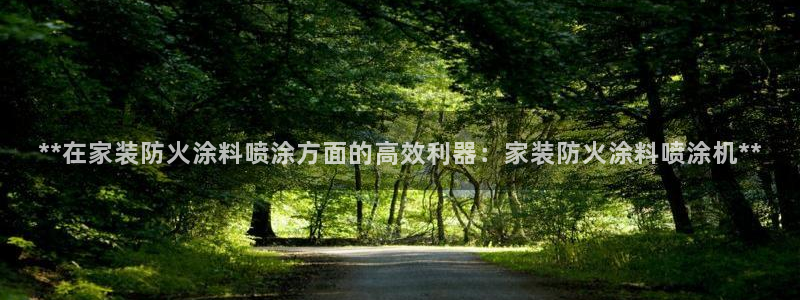 和记AG网站：**在家装防火涂料喷涂方面的高效利器：家装防火涂料喷涂机**