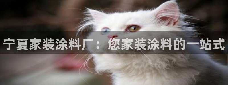 和记官网首页：宁夏家装涂料厂：您家装涂料的一站式
