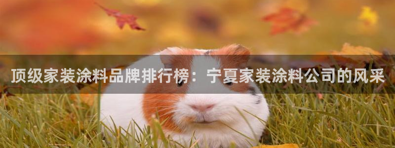 和记h8：顶级家装涂料品牌排行榜：宁夏家装涂料公司的风采