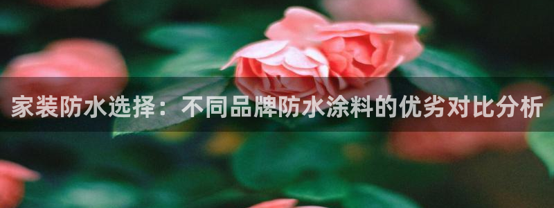 和记5g电讯：家装防水选择：不同品牌防水涂料的优劣对比分析