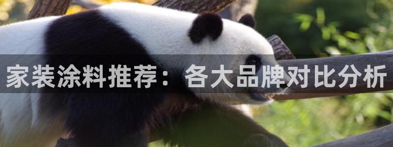 和记h88游戏：家装涂料推荐：各大品牌对比分析