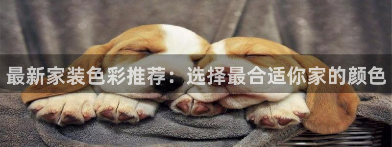 青岛大生和记餐饮管理有限公司：最新家装色彩推荐：选择最合适你家的颜色