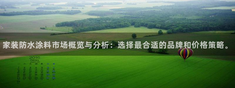 和记(福建)商贸有限公司招聘：家装防水涂料市场概览与分析：选择最合适的品牌和价格策略。