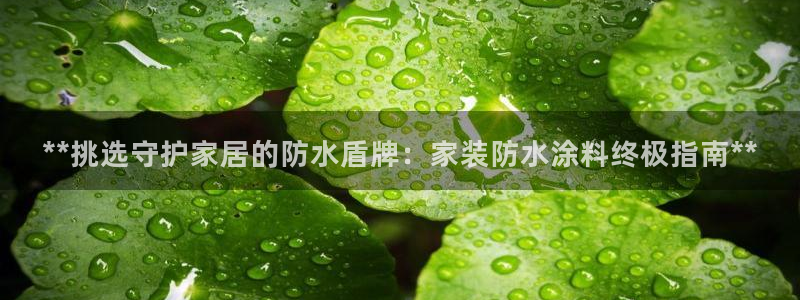 和记广告女主角：**挑选守护家居的防水盾牌：家装防水涂料终极指南**