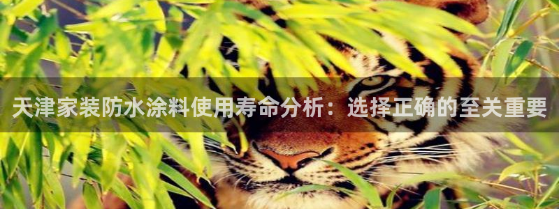 和记ag网址：天津家装防水涂料使用寿命分析：选择正确的至关重要