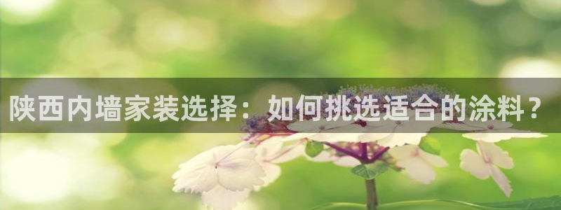 和记网页版登陆：陕西内墙家装选择：如何挑选适合的涂料？