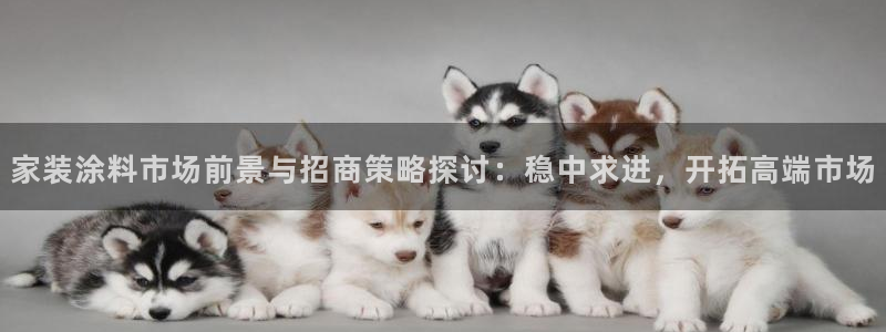 和记h8：家装涂料市场前景与招商策略探讨：稳中求进，开拓高端市场