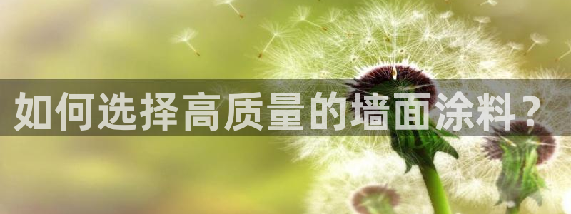 和记国际客服：如何选择高质量的墙面涂料？