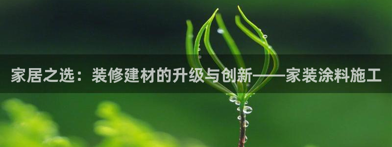 和记官网 公司：家居之选：装修建材的升级与创新——家装涂料施工