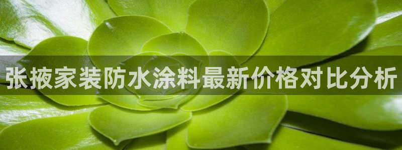 和记app官网