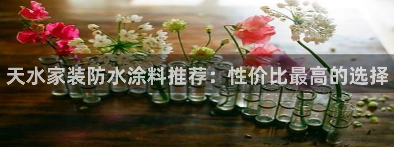 和记Ag：天水家装防水涂料推荐：性价比最高的选择