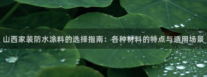 青岛大生和记餐饮管理有限公司：山西家装防水涂料的选择指南：各种材料的特点与适用场景