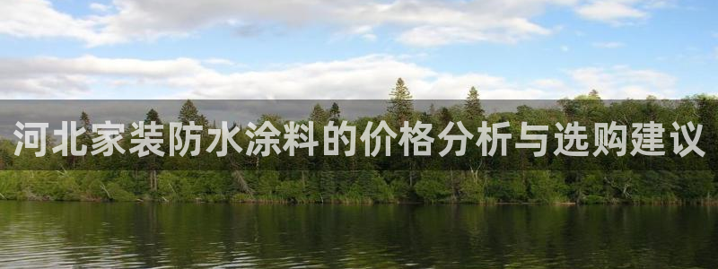 和记官网登录：河北家装防水涂料的价格分析与选购建议