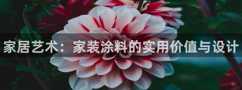 和记paging
