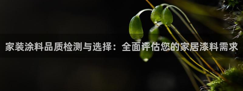 和记官方：家装涂料品质检测与选择：全面评估您的家居漆料需求
