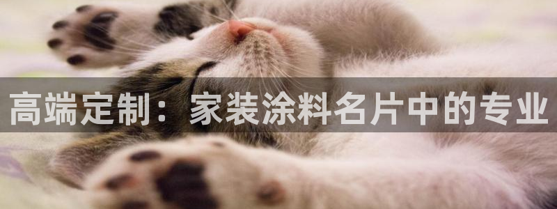 和记官方网址：高端定制：家装涂料名片中的专业