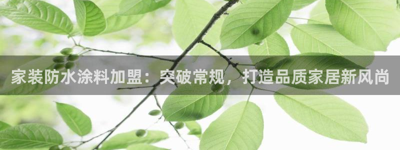 和记国际电讯市值：家装防水涂料加盟：突破常规，打造品质家居新风尚