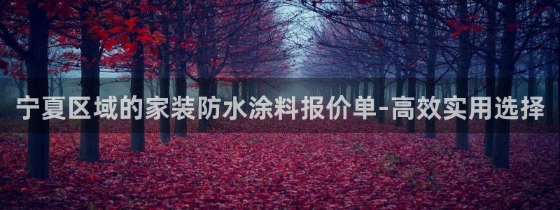 和记电业集团：宁夏区域的家装防水涂料报价单-高效实用选择