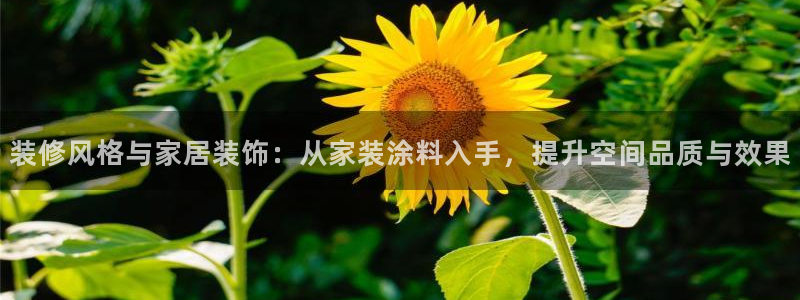 ag和记app：装修风格与家居装饰：从家装涂料入手，提升空间品质与效果