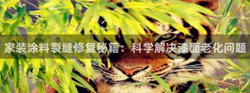 和记国际听：家装涂料裂缝修复秘籍：科学解决漆面老化问题