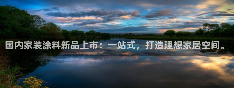 和记官方平台：国内家装涂料新品上市：一站式，打造理想家居空间。