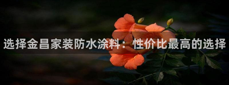 和记AG网站：选择金昌家装防水涂料：性价比最高的选择