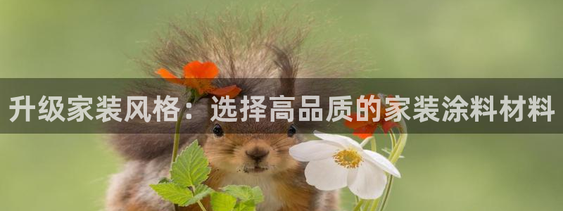 和记官方