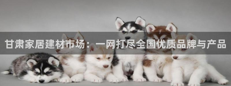 和记(福建)商贸有限公司招聘：甘肃家居建材市场：一网打尽全国