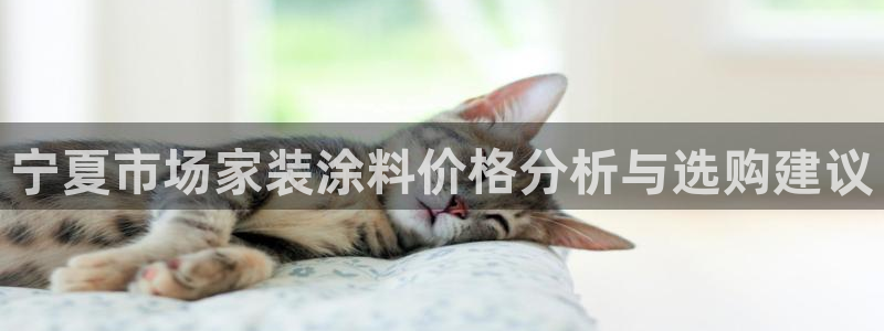 和记平台官方网：宁夏市场家装涂料价格分析与选购建议