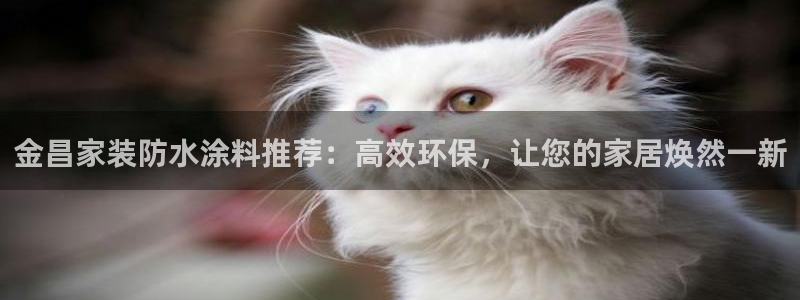 官方和记国际平台登录：金昌家装防水涂料推荐：高效环保，让您的家居焕然一新