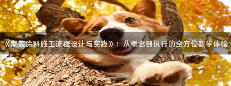 和记H88：《家装涂料施工流程设计与实践》：从概念到执行的全方位教学体验
