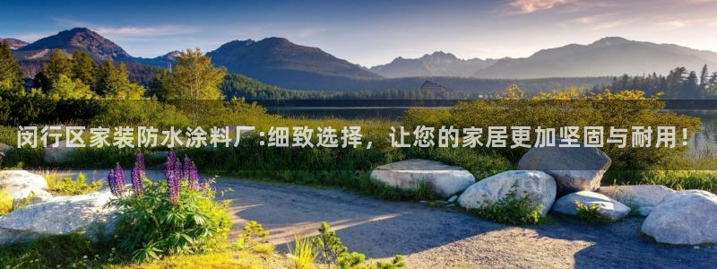 和记2017app：闵行区家装防水涂料厂:细致选择，让您的家