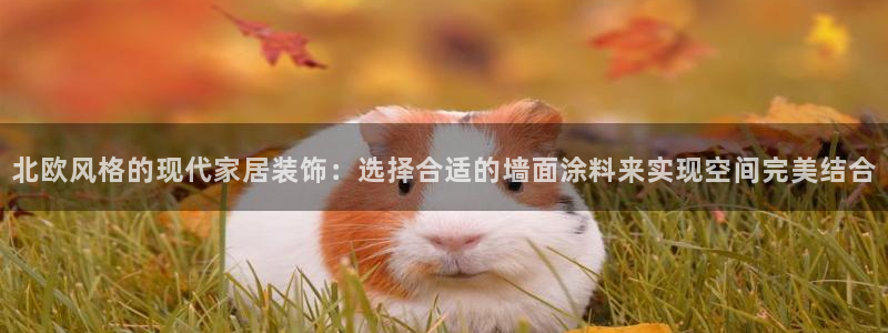 上海和记餐饮：北欧风格的现代家居装饰：选择合适的墙面涂料来实现空间完美结合