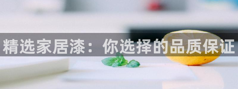 和记港口