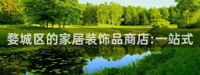 和记电业集团：婺城区的家居装饰品商店:一站式