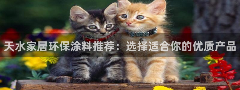 和记平台下载：天水家居环保涂料推荐：选择适合你的优质产品