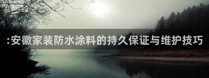 和记(福建)商贸有限公司：:安徽家装防水涂料的持久保证与维护技巧