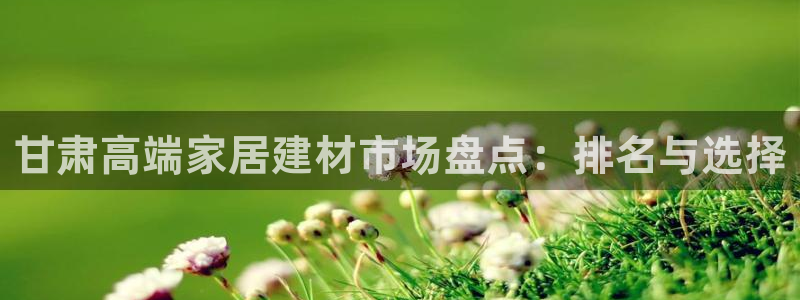 和记ag登录：甘肃高端家居建材市场盘点：排名与选择